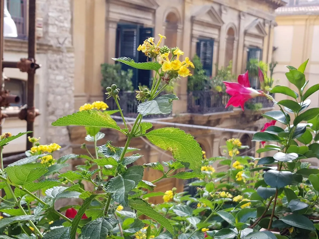 مبيت وإفطار كالتانيسيتا Casa Coccinella إيطاليا